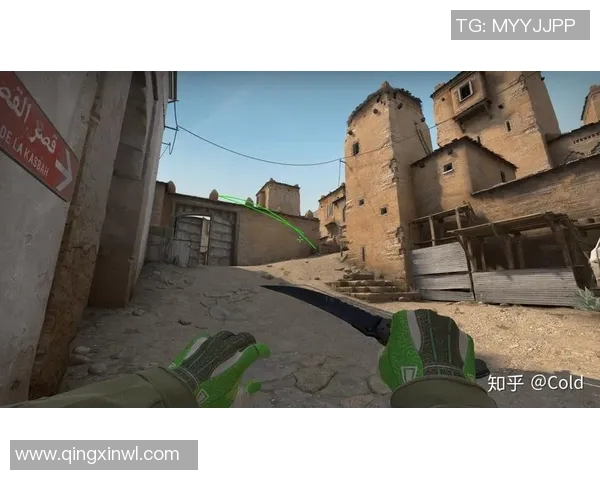 CSGO战术解析V5战队防守体系的核心策略与执行细节