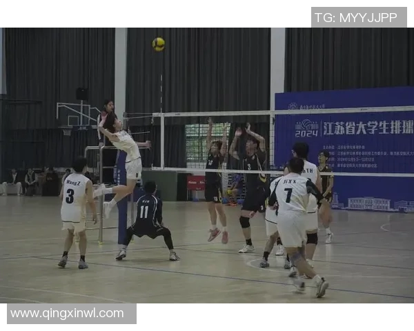 武汉排球队逆袭之旅揭秘大师赛背后的奋斗与荣耀