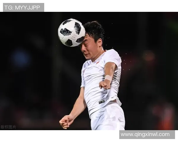 专访网球明星李磊深度剖析成功背后的心路历程与训练秘诀