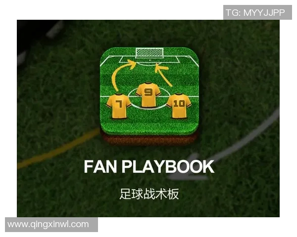 南京足球队的控制体系与战术解析：探索现代足球的战略布局与执行力